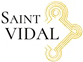 Logo saint vidal